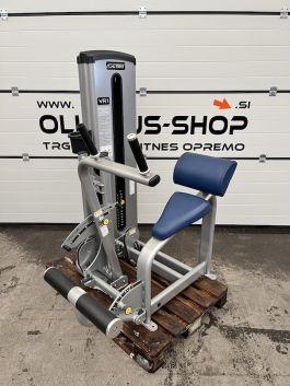 Cybex VR1 Dual Abdominal Back Extension